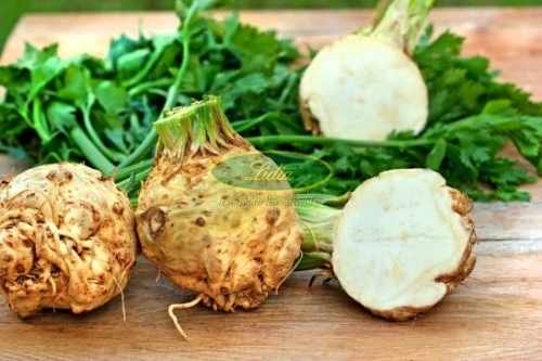 SELER ALBIN 10g