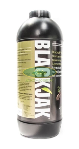 BLACK JAK 1l