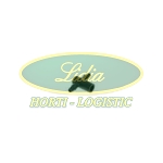 DWÓJNIK JDW "NOWY TYP"