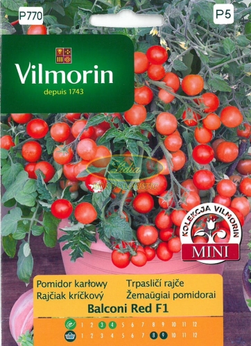 POMIDOR BALCONI RED KOKTAJLOWY 0,1g