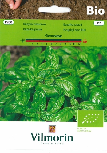BAZYLIA GENOVESE BIO 1g