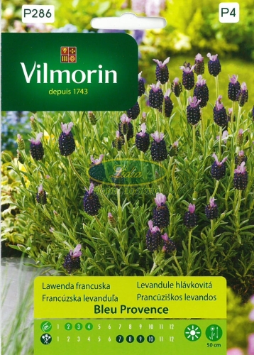LAWENDA FRANCUSKA 0,3g