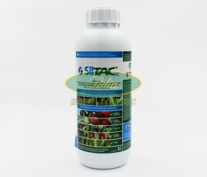 SILTAC EC 1L
