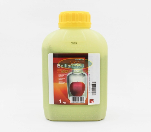 BELLIS 38 WG 1kg