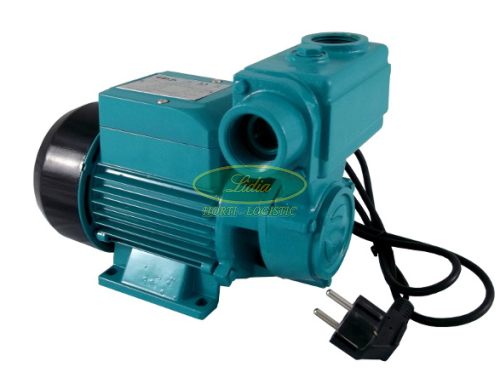 POMPA WZ 250 B