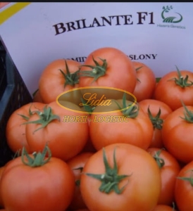 POMIDOR BRILLANTE F1 250n