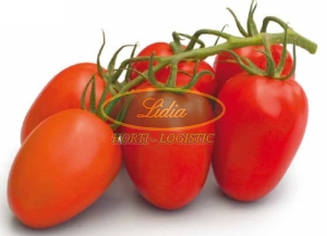 POMIDOR ROMANELLA 500n
