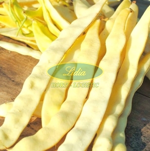 FASOLA GOLDMARIE 10g