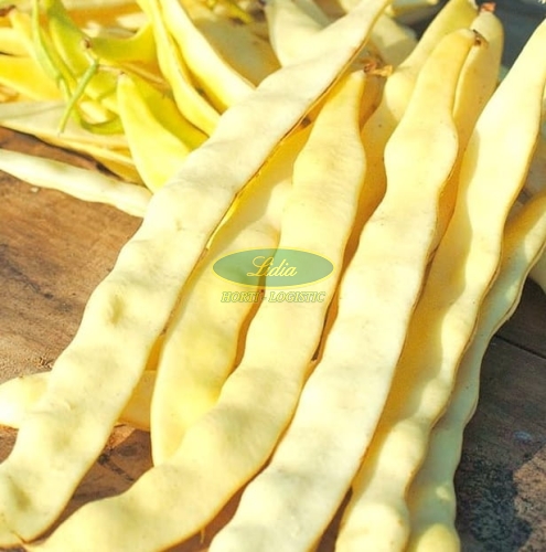 FASOLA GOLDMARIE 10g