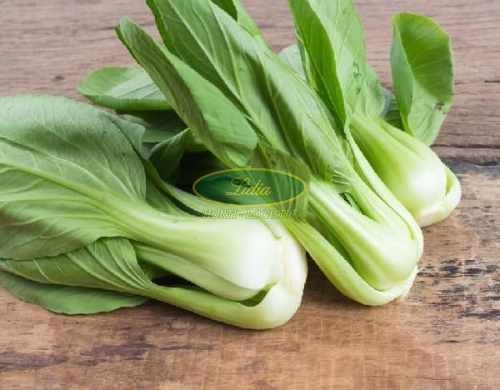 KAPUSTA CHIŃSKA PAK CHOI 2g