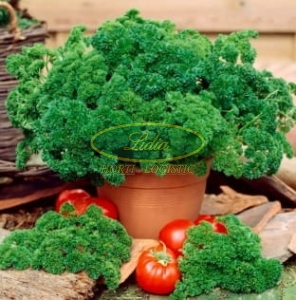 PIETRUSZKA MOSKRUL 2 5G