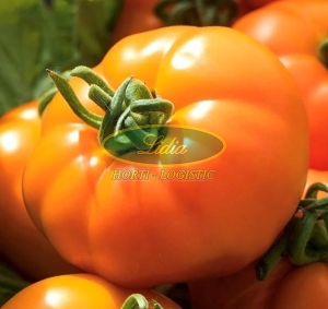 POMIDOR ORANGE WELLINGTON 0,1 g