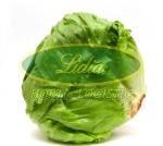 SAŁATA KRUCHA GREAT LAKES 1g