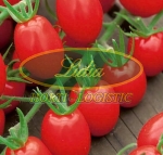 POMIDOR TUTTI FRUTTI 7n