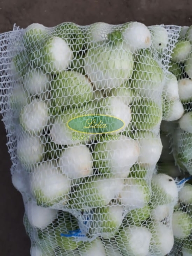 CEBULA OZIMA BIAŁA NEVIX 500g