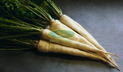 PIETRUSZKA ARAT 50g
