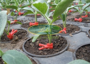 PODKŁADKA SPRINTER F1 500n