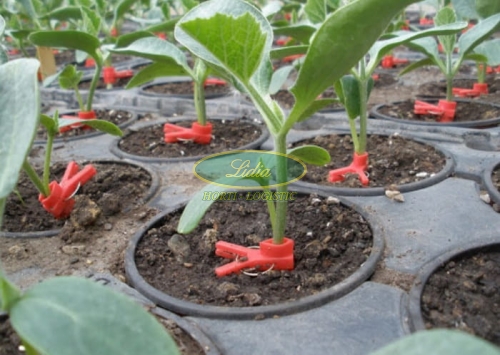 PODKŁADKA SPRINTER F1 500n