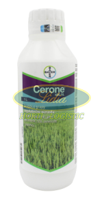 CERONE 480 SL 1L