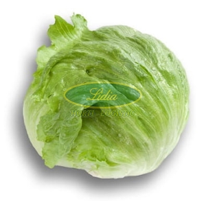 SAŁATA KRUCHA CARTAGENAS 5tys