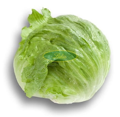 SAŁATA KRUCHA CARTAGENAS 5tys