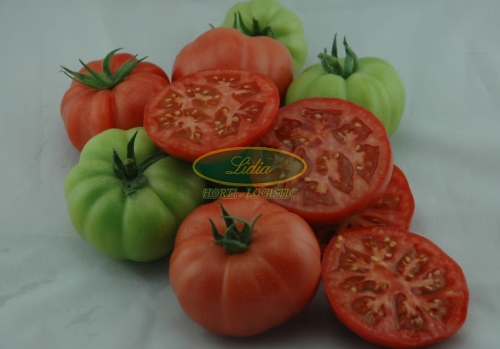 POMIDOR FUCHSIA 250 N