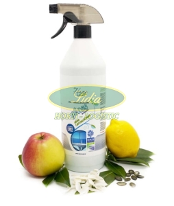 HC GLASS SHINE 1L