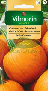 DYNIA JACK O`LANTERN 2g
