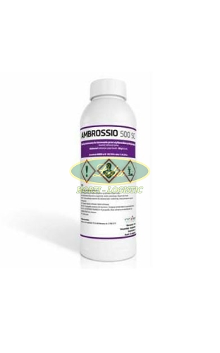 AMBROSSIO 500 SC 1 L