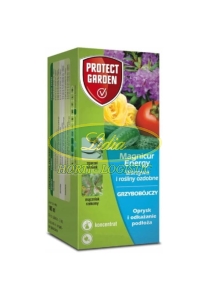 MAGNICUR ENERGY 100 ml