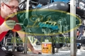 KLEJ UNI-100 PVC 250ml#3