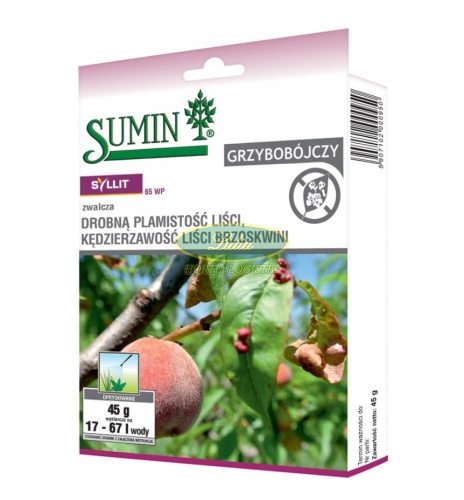 SYLLIT 65 WP 45g