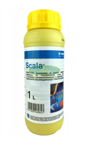 SCALA 1 L