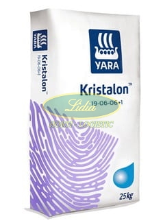 KRISTALON FIOLETOWY 25kg 19-6-6