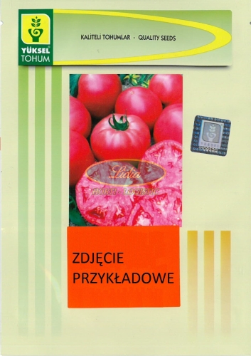 POMIDOR PINK ROCK / PINK ROSE F1 100n