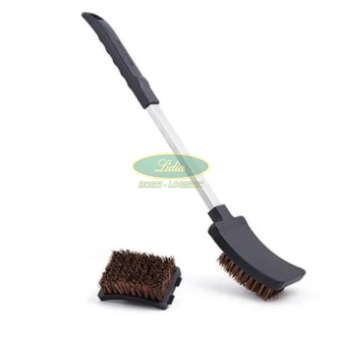 SZCZOTKA BARON Z WŁOSIEM Z PALMY 64038