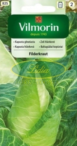 KAPUSTA STOŻKOWA FILDERKRAUT 2g