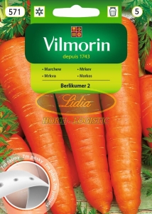 MARCHEW BERLIKUMER TASMA 7 m