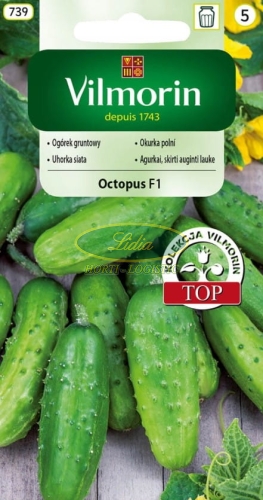 OGÓREK OCTOPUS 1,5 g