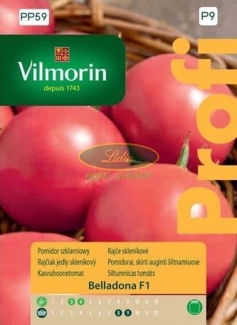 POMIDOR BELLADONA 8 n