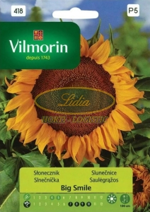 SŁONECZNIK KWIATOWY BIG SMILE/SUNNY 0,5g