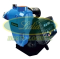 POMPA WZ 900 SMART PM 230V#1
