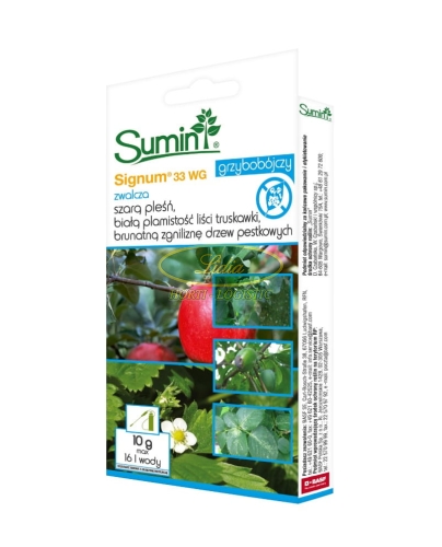 SIGNUM 33 WG 10g