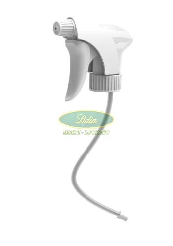 GŁÓWKA ACID LINE MAROLEX