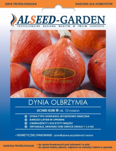 DYNIA UCHIKI KURI 10 n