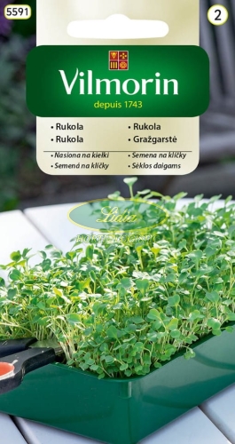 NASIONA NA KIEŁKI RUKOLA 10g