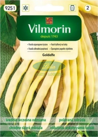 FASOLA SZPARAGOWA TYCZNA GOLDELFE 10g 9251