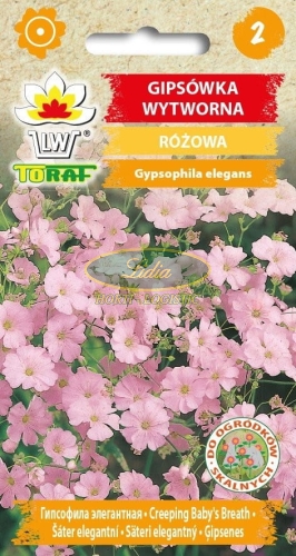 GIPSÓWKA 1g RÓŻOWA