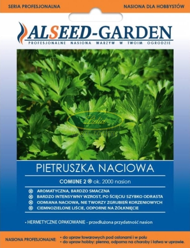 PIETRUSZKA NACIOWA COMUNE 2  2000 n