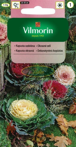 KAPUSTA OZDOBNA MIX 0,1g